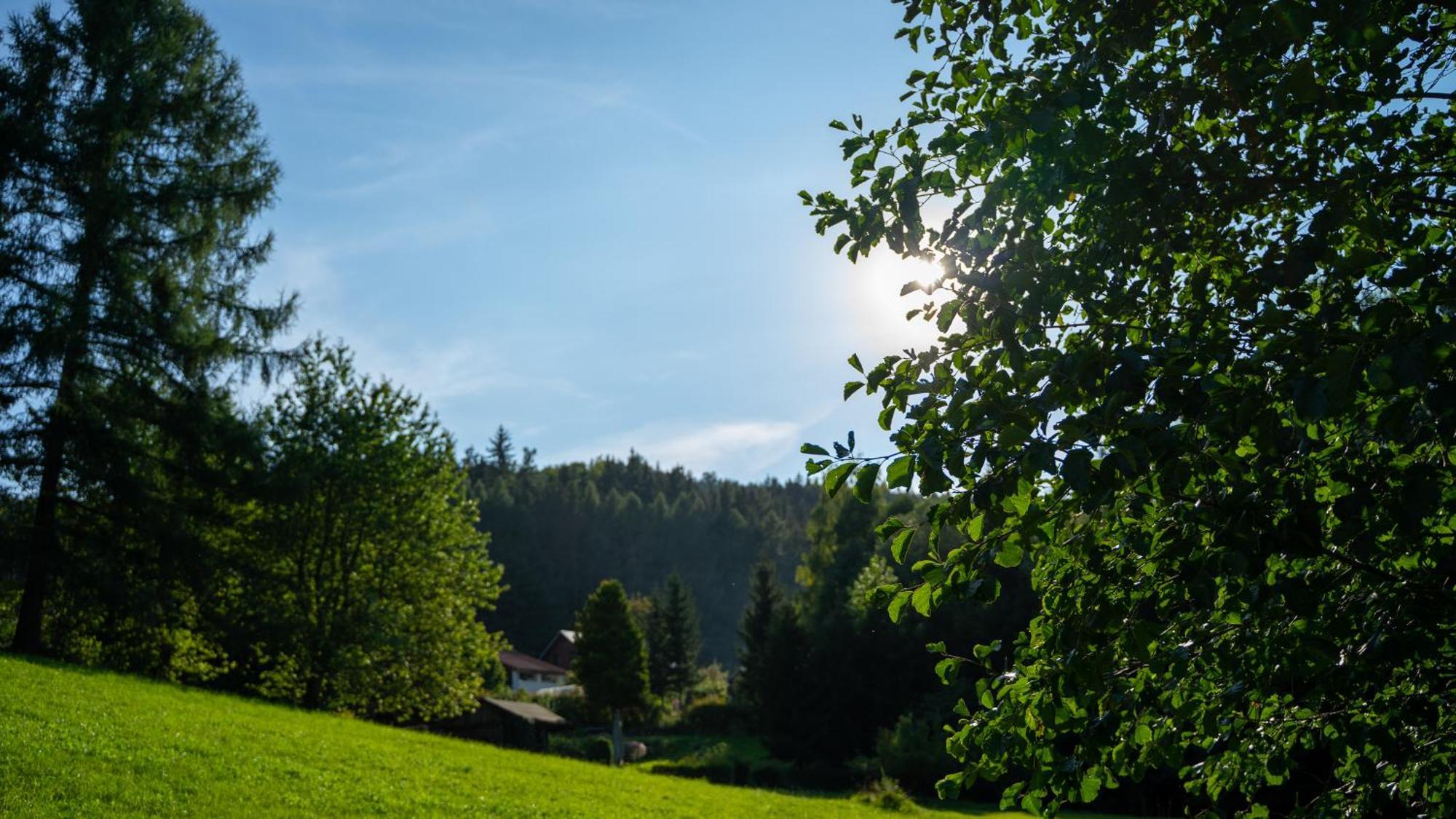 Penzion Myskova Appartement Teplice nad Metují Buitenkant foto